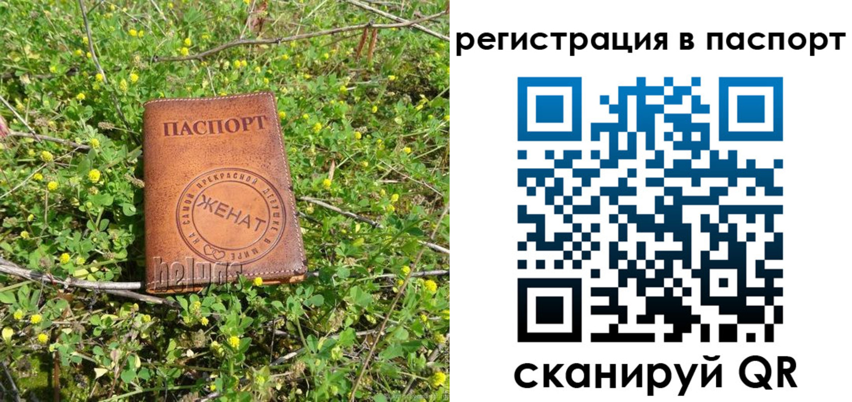 прописка законно в Котельниках